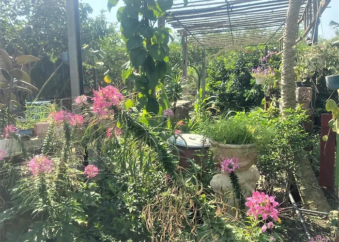Cat Canh Farm
