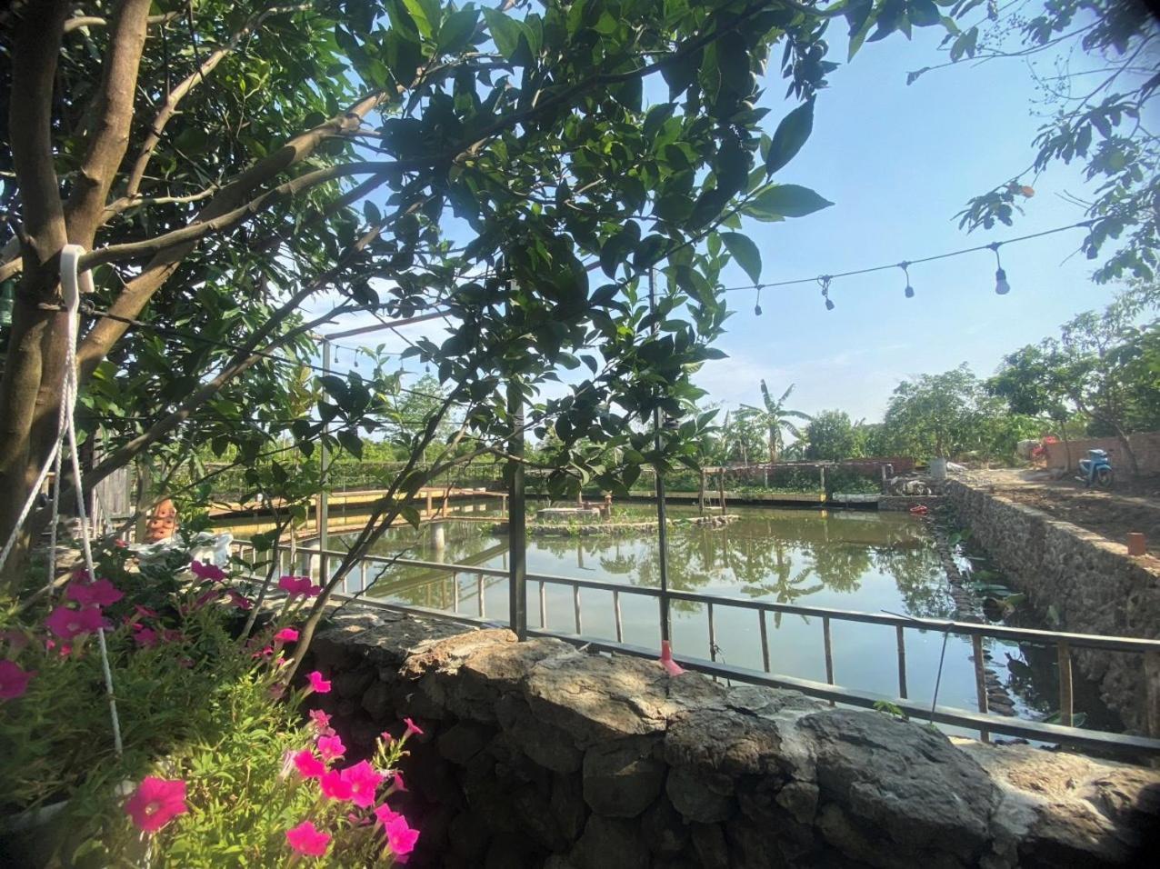Ở trang trại Cat Canh Farm