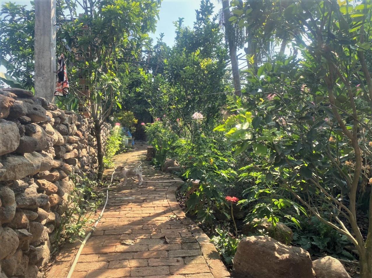 Cat Canh Farm * TP. Hồ Chí Minh