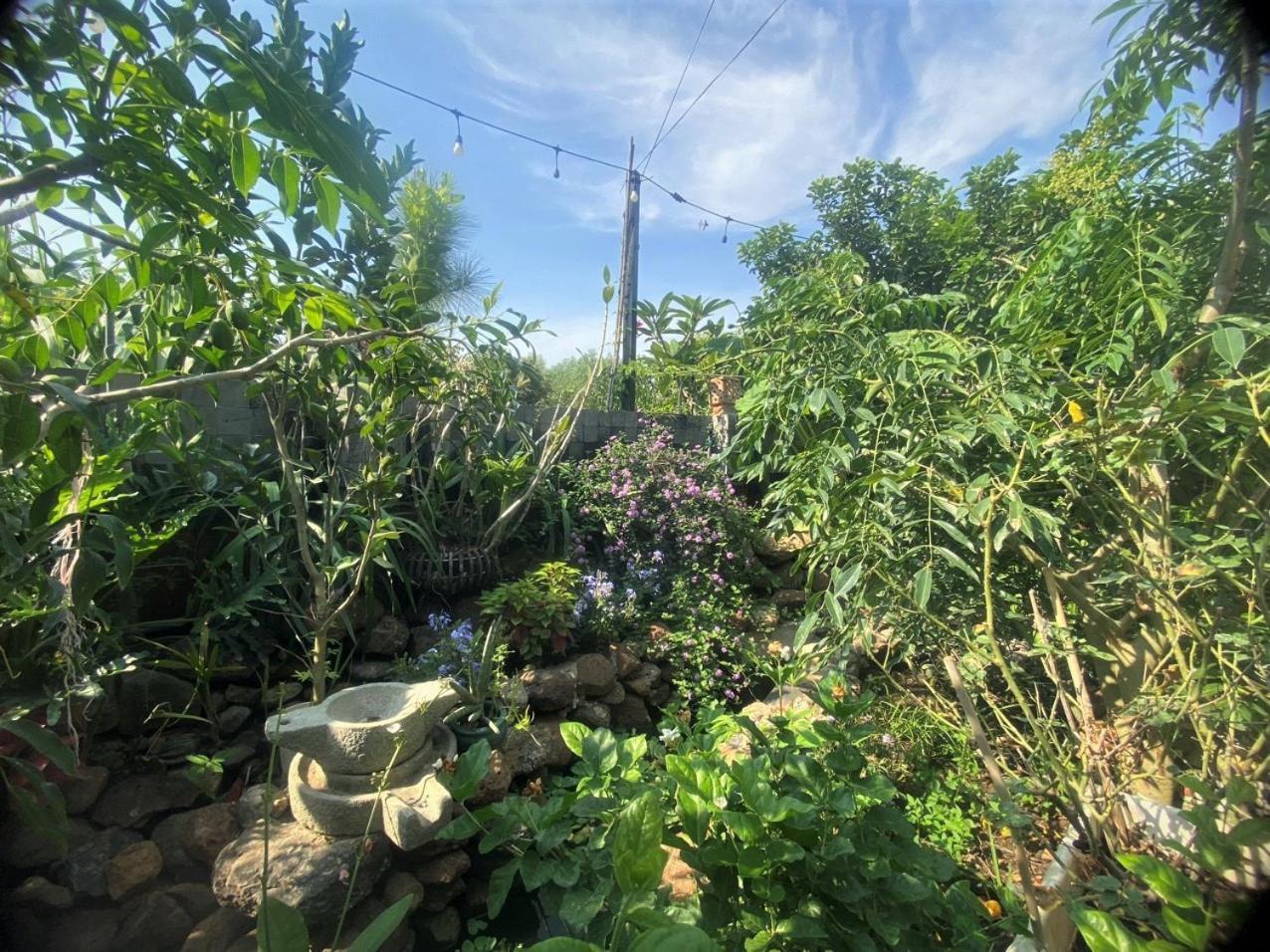 Cat Canh Farm
