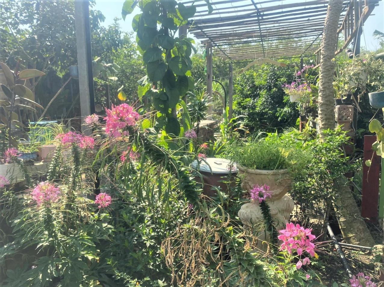 Cat Canh Farm *